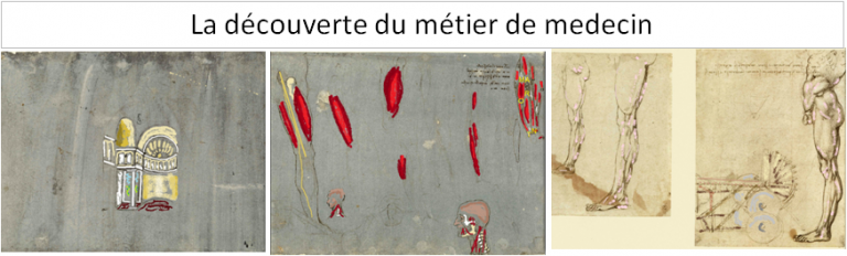 Les premières dissections de Léonard