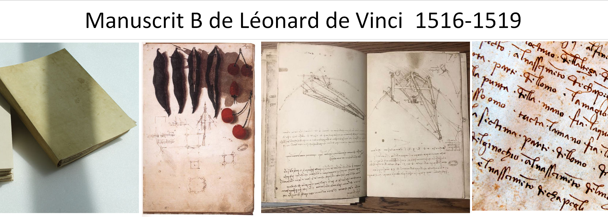 Manuscrit B de Léonard de Vinci 1516-1519
