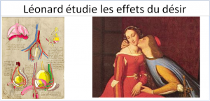 Léonard étudie les effets du désir