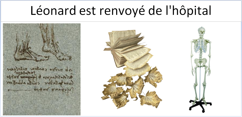 Léonard est renvoyé de l'hôpital