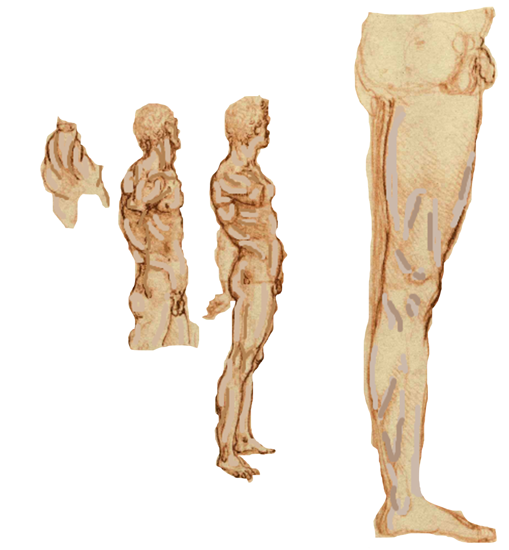 ANA091R-2.png