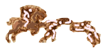 ANA091R-3.png