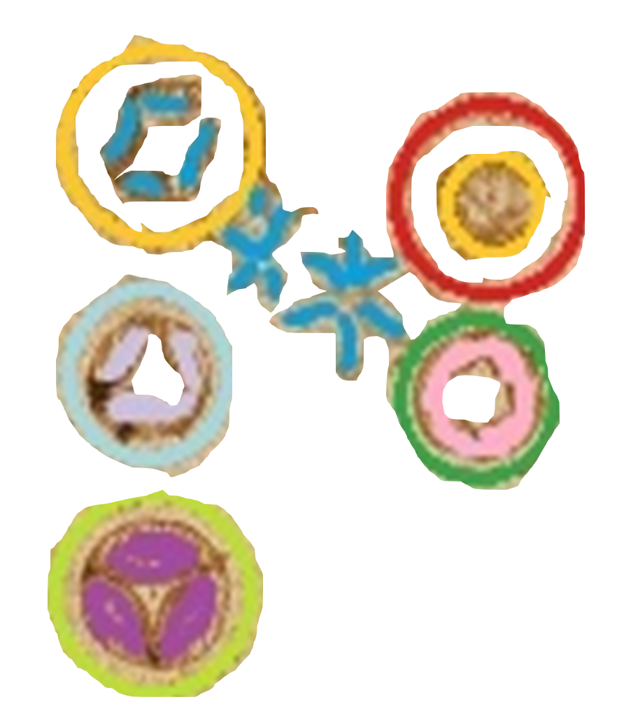 ATL0239R-3.png