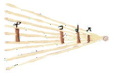FOII015V-1.jpg