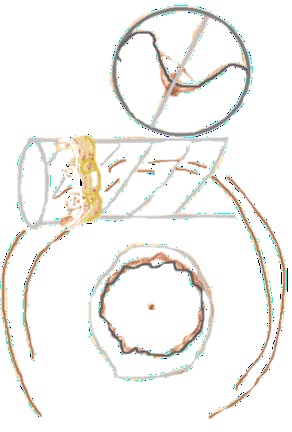 FOII023V-1.jpg