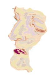 FOII027V-1.jpg