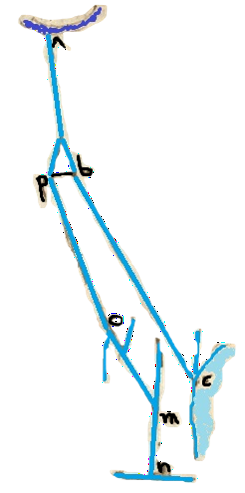 ML002V-1.png