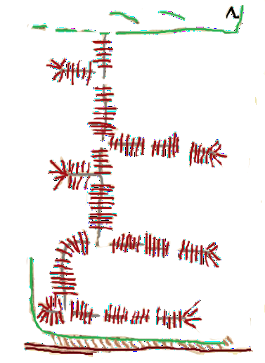 ML007R-1.png