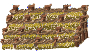 ML019R-1.png