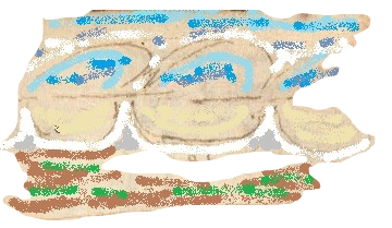 ML029R-1.png