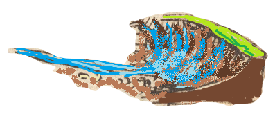 ML031R-1.png